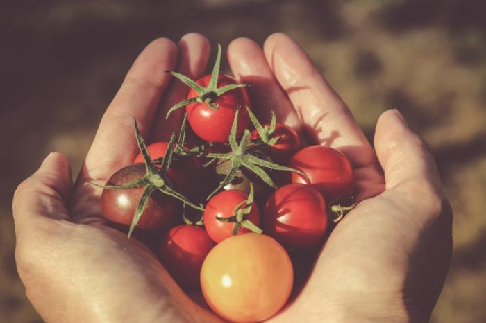 Save Food with smart packaging